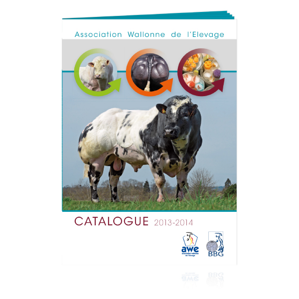 Awe catalog AWE is an FRCS adventure-based guidance and counseling program that exists to use adventure and wilderness experiences to develop both a student’s character and the school community.