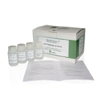 09_pack_valbio