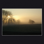 Réveil brumeux