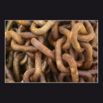 Chaines