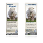 AWE - pub viandeuse